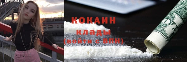 твердый Вяземский