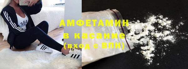 твердый Вяземский