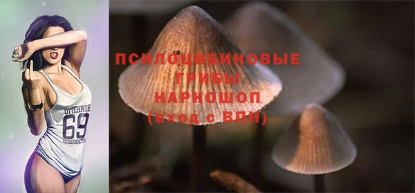 твердый Вяземский