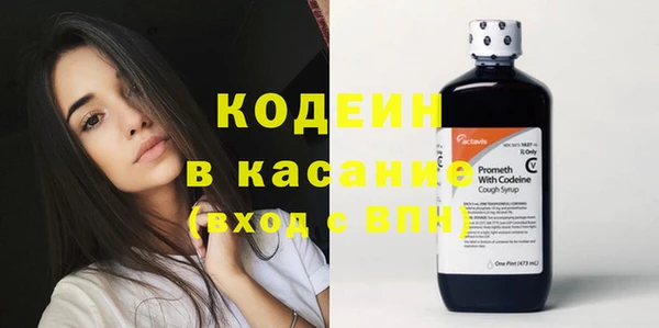 твердый Вяземский