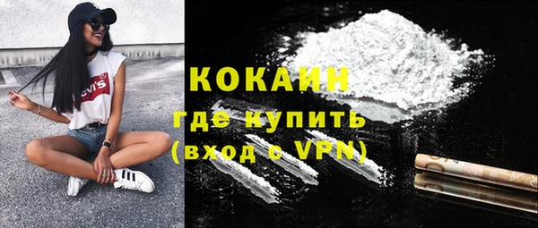 твердый Вяземский