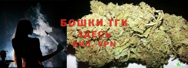 твердый Вяземский
