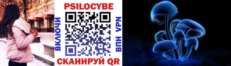 Псилоцибиновые грибы Psilocybine cubensis  Купить закладки  Североуральск 